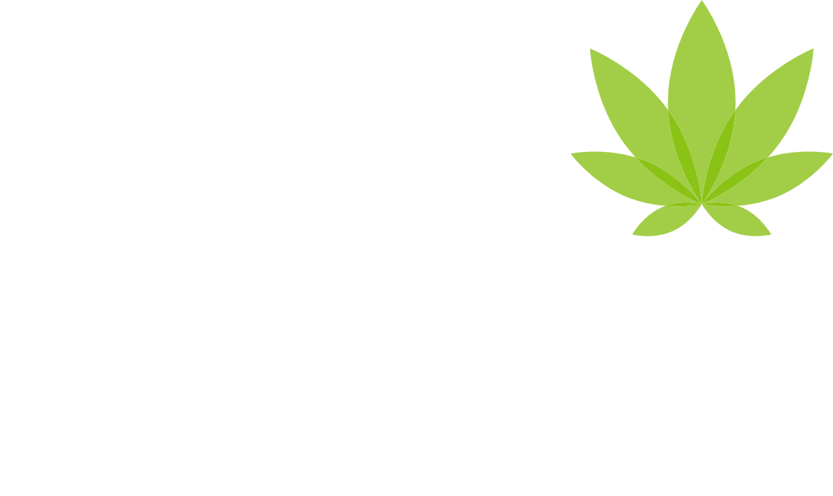Wyjątkowe Shoty konopne Green Out®, tylko od Dutch Therapy!